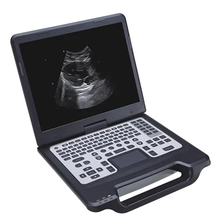 Apogee 1000 v